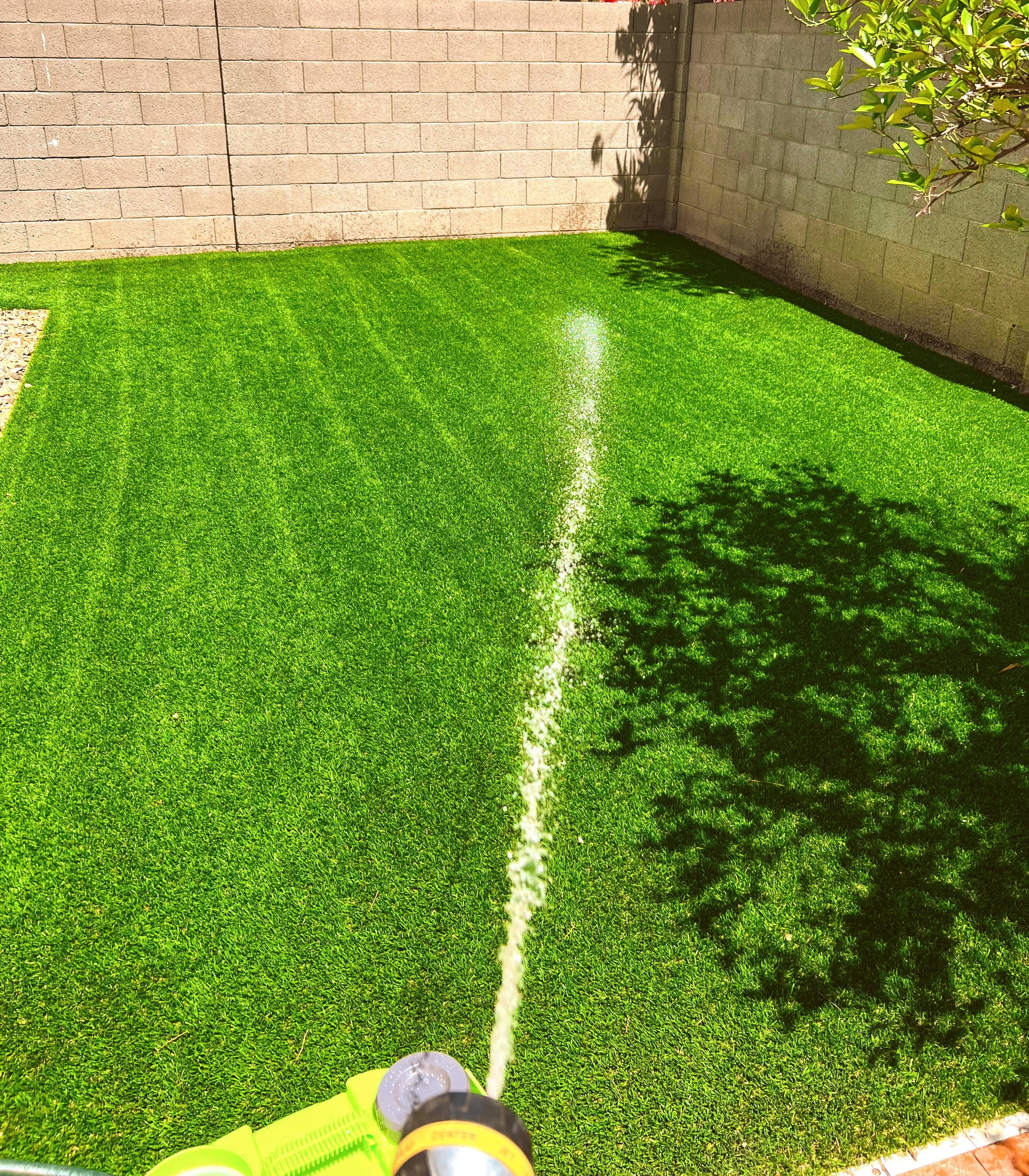 The same Turf Tune Up yard after cleaning